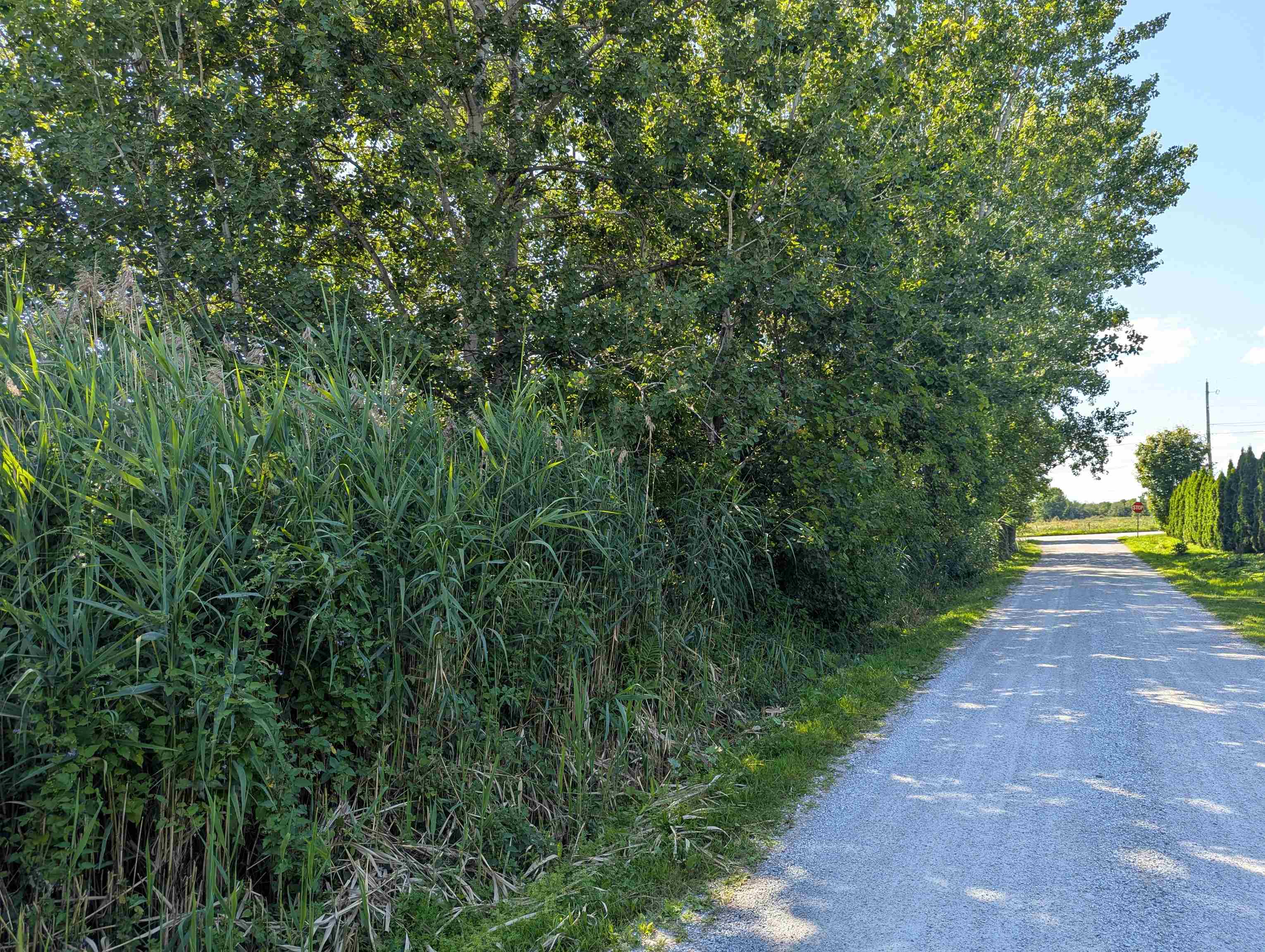 2 Andersen Lane Swanton, VT 05488 - Photo 9 of 10