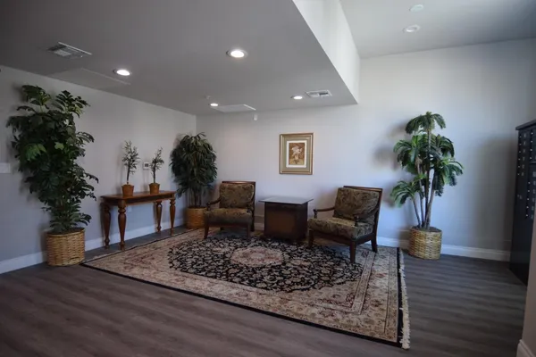 a living room with furniture and a potted plant