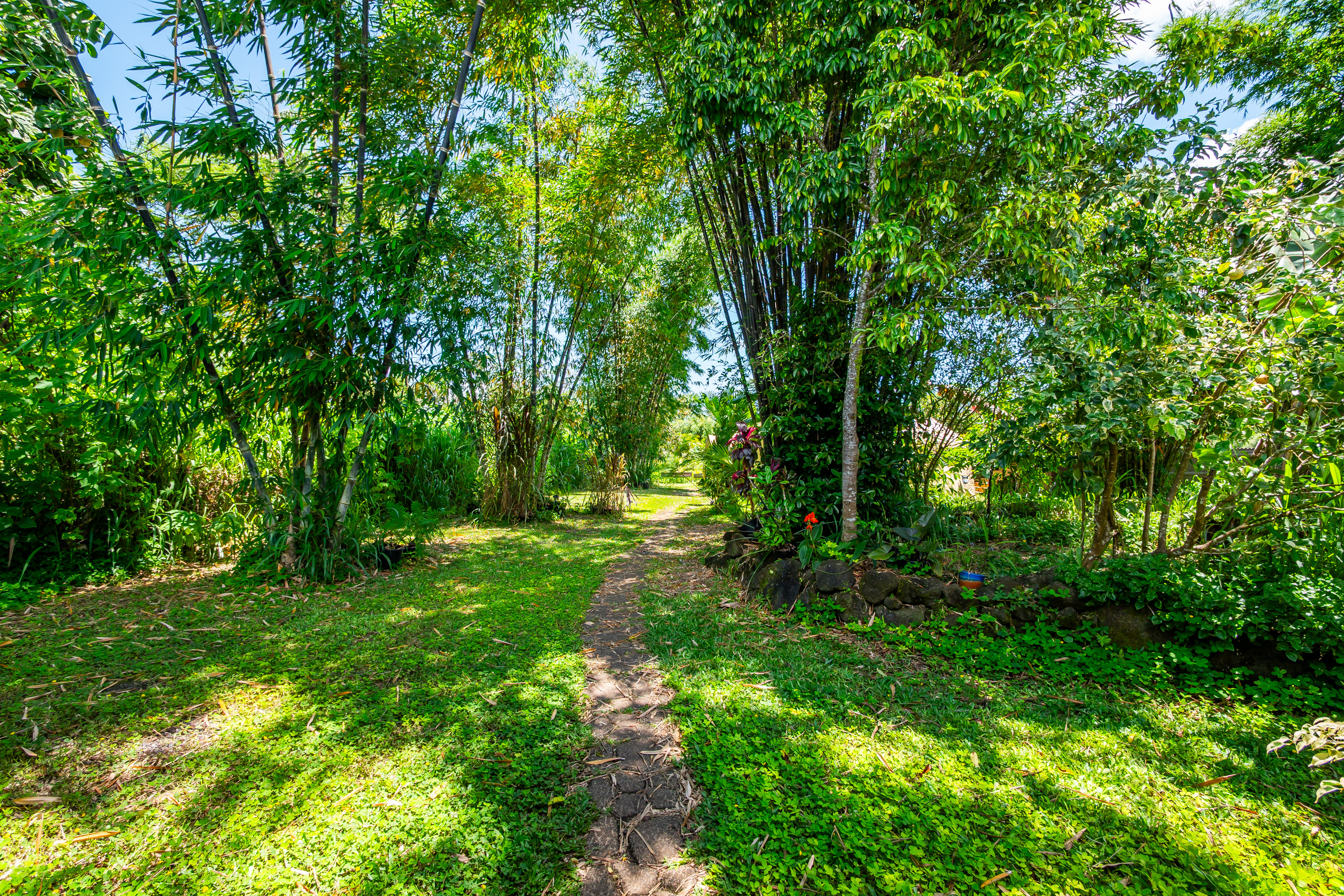 17-4224 Kuaaina Road Keaau, HI 96749 - Photo 6 of 28