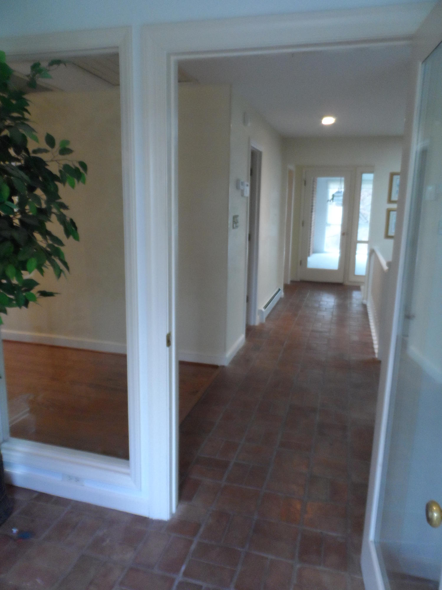 3602 Forest Road Roanoke, VA 24015 - Photo 2 of 50 forest pics hardwoods 003