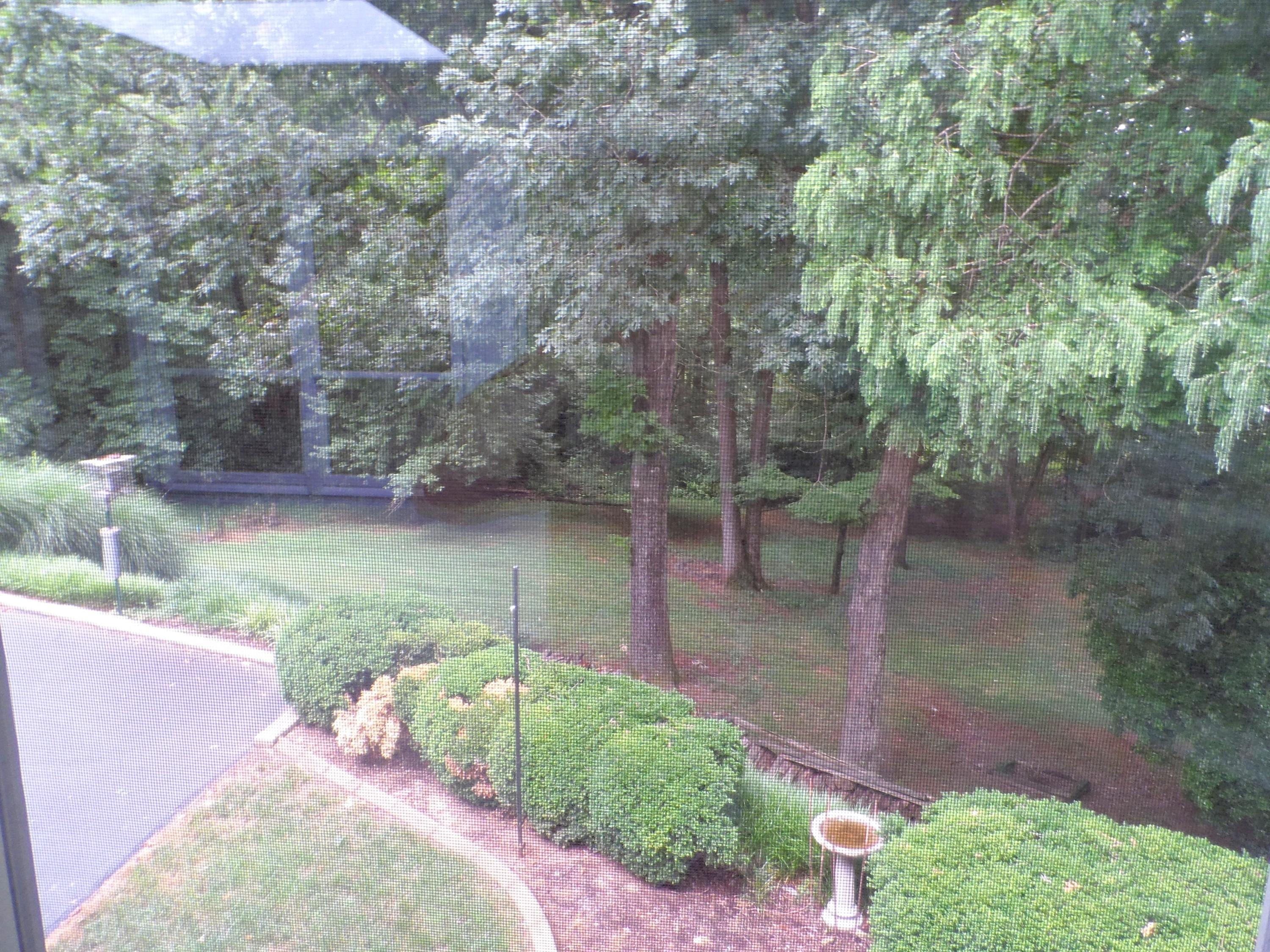 3602 Forest Road Roanoke, VA 24015 - Photo 20 of 50 view of yard from sunroom