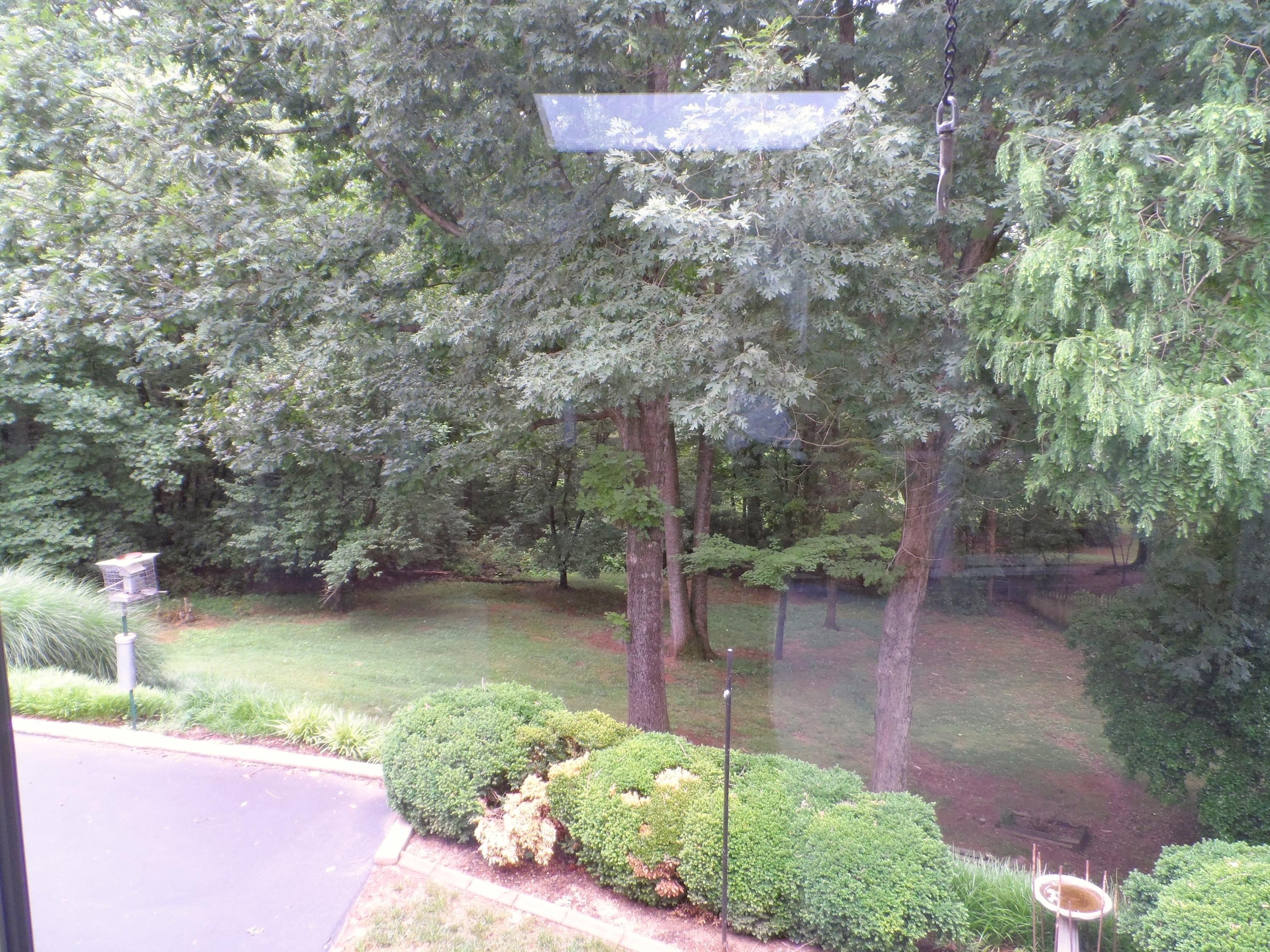 3602 Forest Road Roanoke, VA 24015 - Photo 21 of 50 view of yard from sunroom