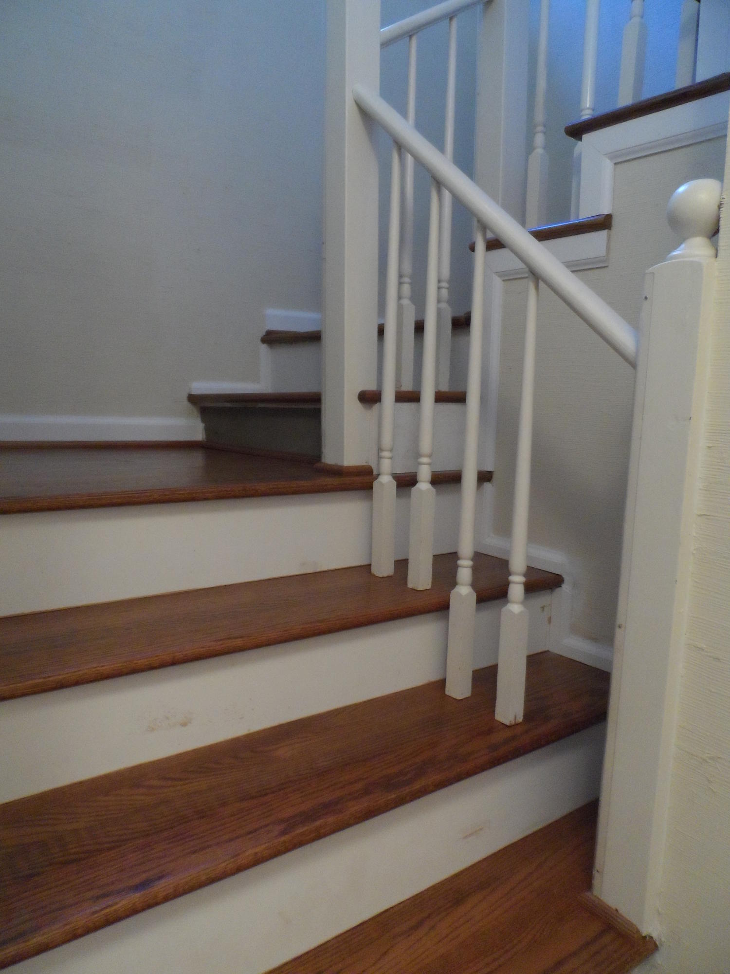 3602 Forest Road Roanoke, VA 24015 - Photo 5 of 50 forest pics hardwoods 012
