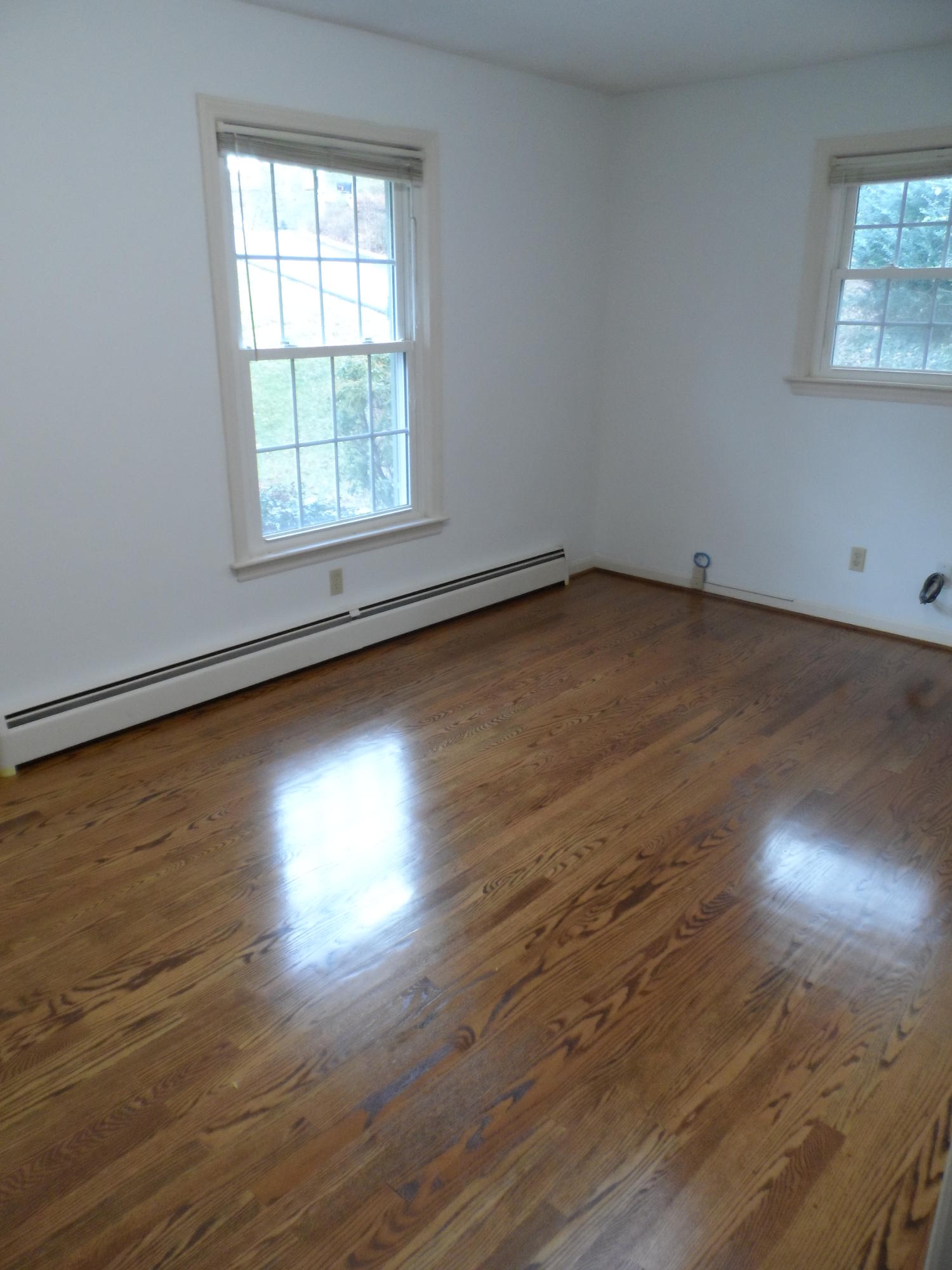 3602 Forest Road Roanoke, VA 24015 - Photo 50 of 50 forest pics hardwoods 006