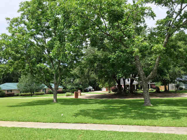 20068 Pecan Trace Fairhope, AL 36532 - Photo 31 of 33 Cul De Sac