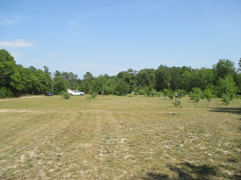 4520 Pinewood Road Sumter, SC 29154 - Photo 11 of 18 Gallery Image 11