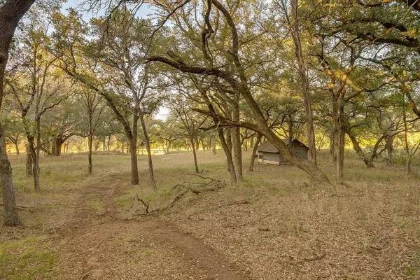 a view of yard with trees