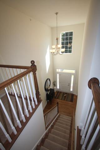 4504 Drendel Road Downers Grove, IL 60515 - Photo 7 of 18