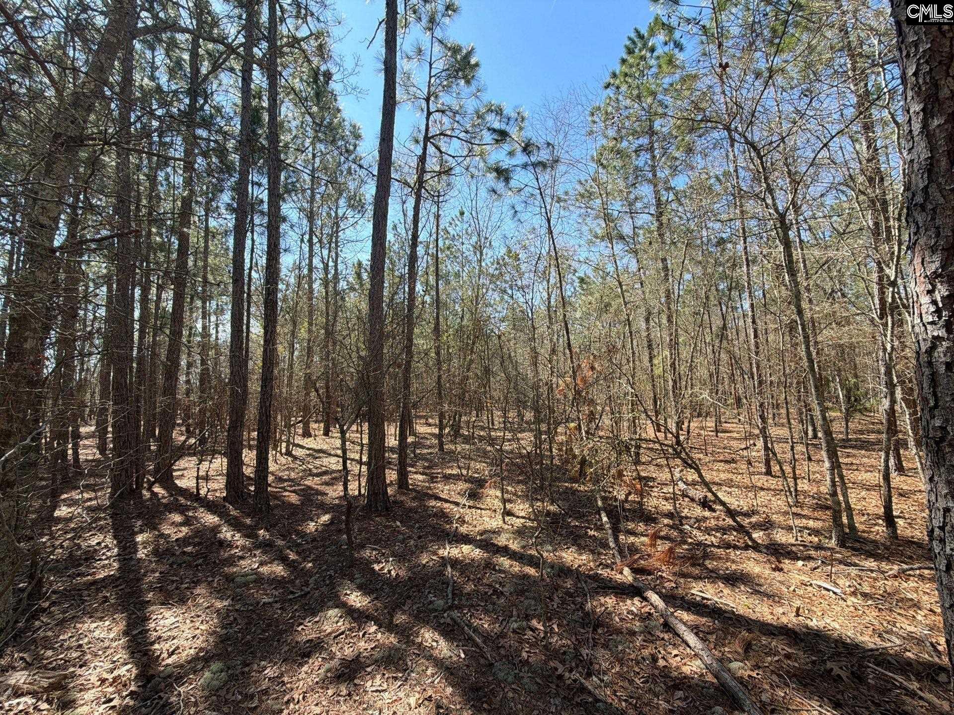 10 Boise Cascade Road, Unit BHL 10 Bethune, SC 29009 - Photo 19 of 24