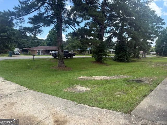 a view of a park with large trees