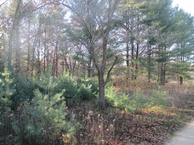 $39,900 | Lot 2 Eagle Rest, Montello, WI 53949