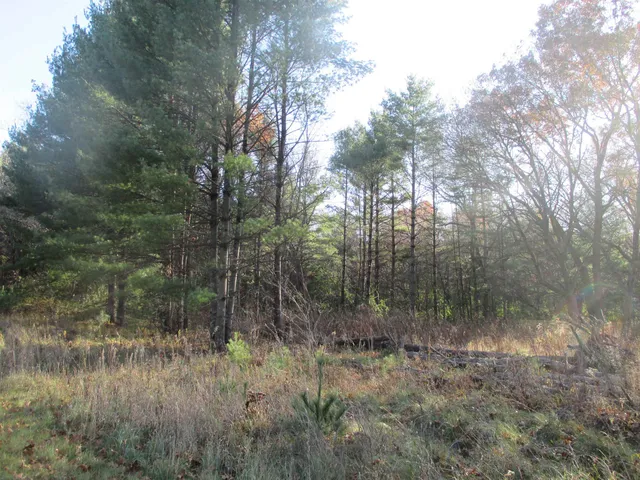 $39,900 | Lot 2 Eagle Rest, Montello, WI 53949