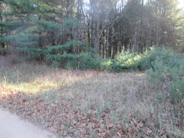 $39,900 | Lot 2 Eagle Rest, Montello, WI 53949