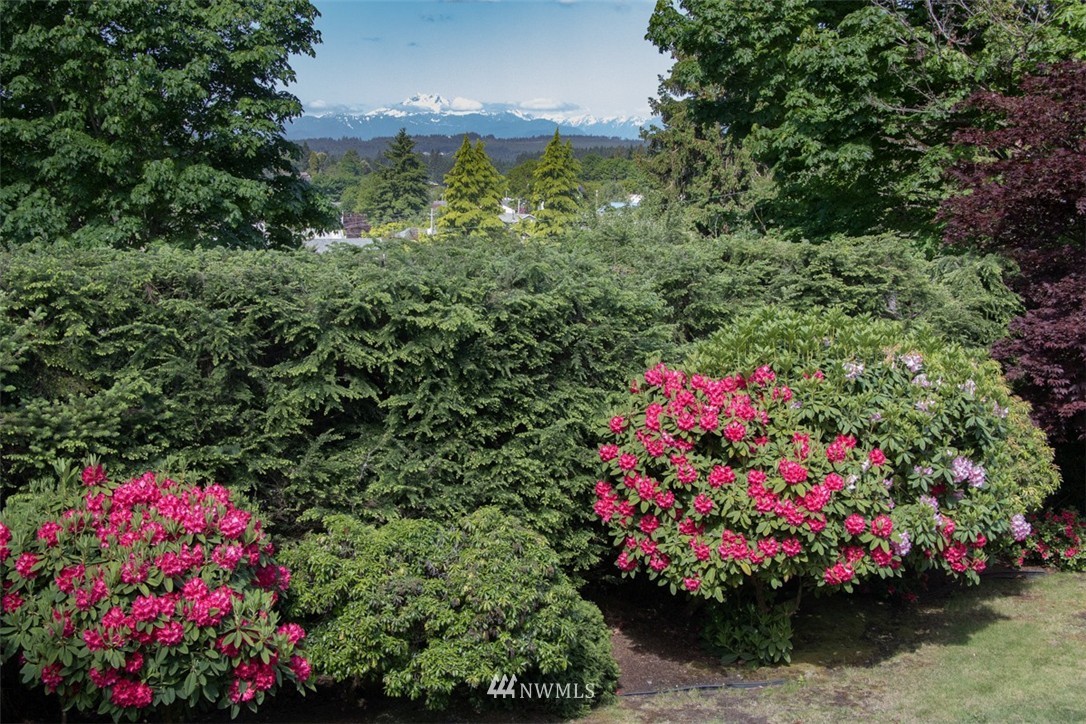 341 Yew Street Bremerton, WA 98310 - Photo 4 of 25 Gallery Image 4