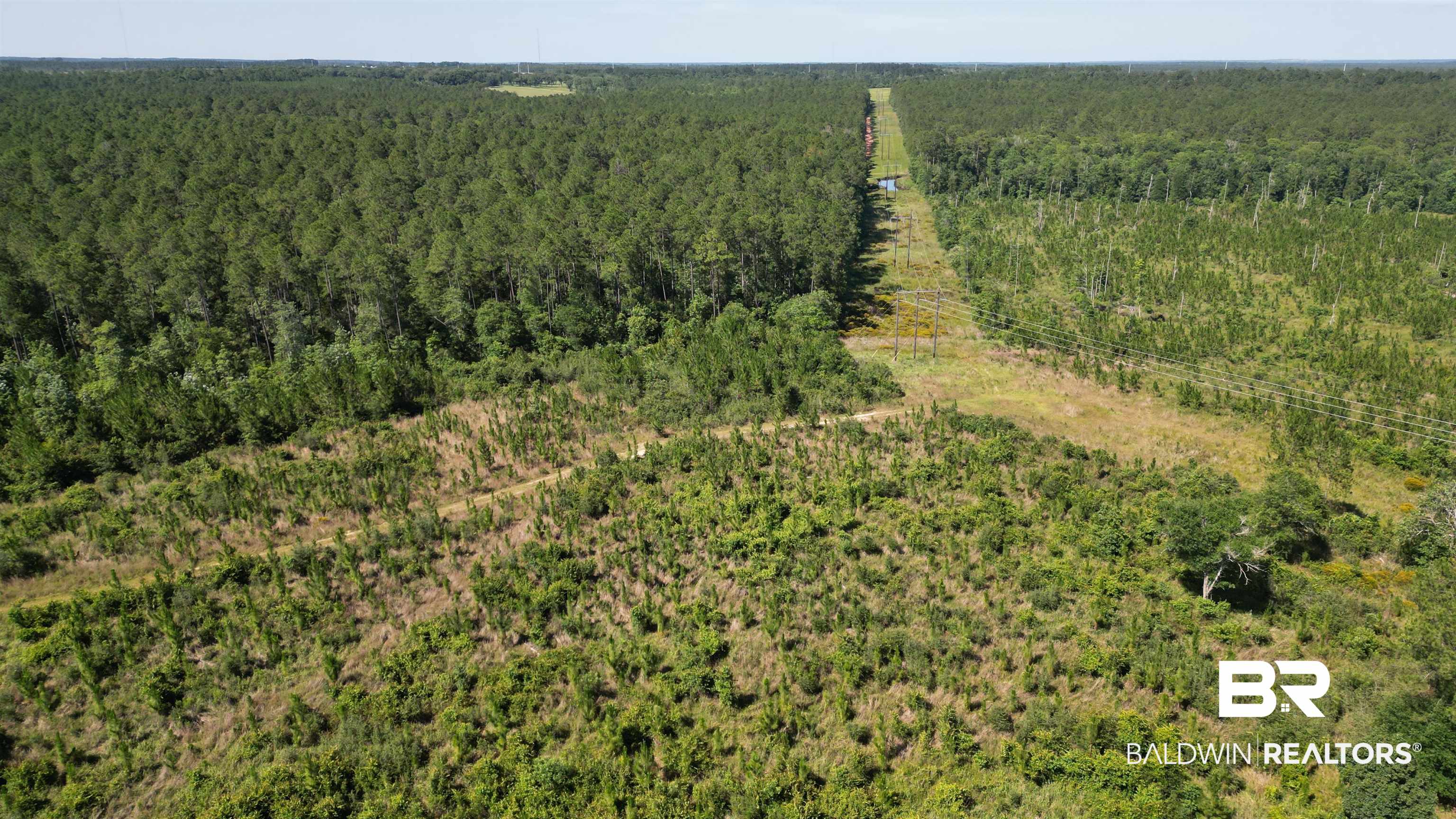 0 County Road 87 Elberta, AL 36530 - Photo 11 of 46