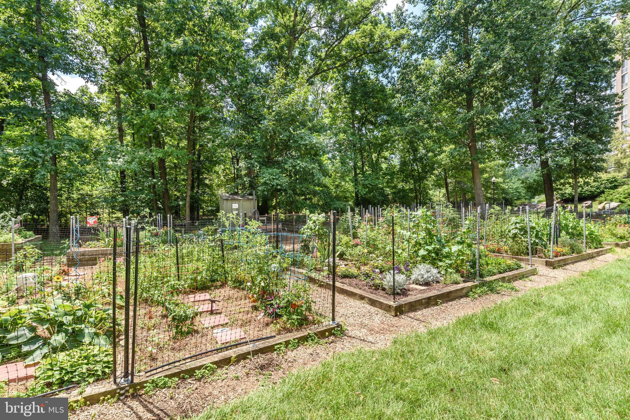 19385 Cypress Ridge Terrace, Unit 519 Leesburg, VA 20176 - Photo 29 of 43 Community Gardens