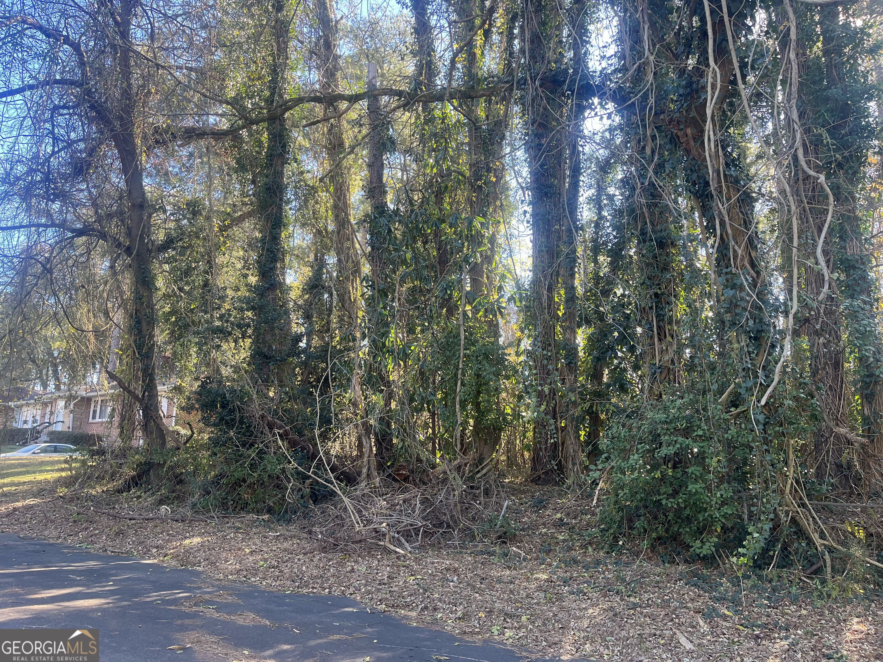 0 Handley Avenue South Atlanta, GA 30310 - Photo 2 of 8 a view of forest