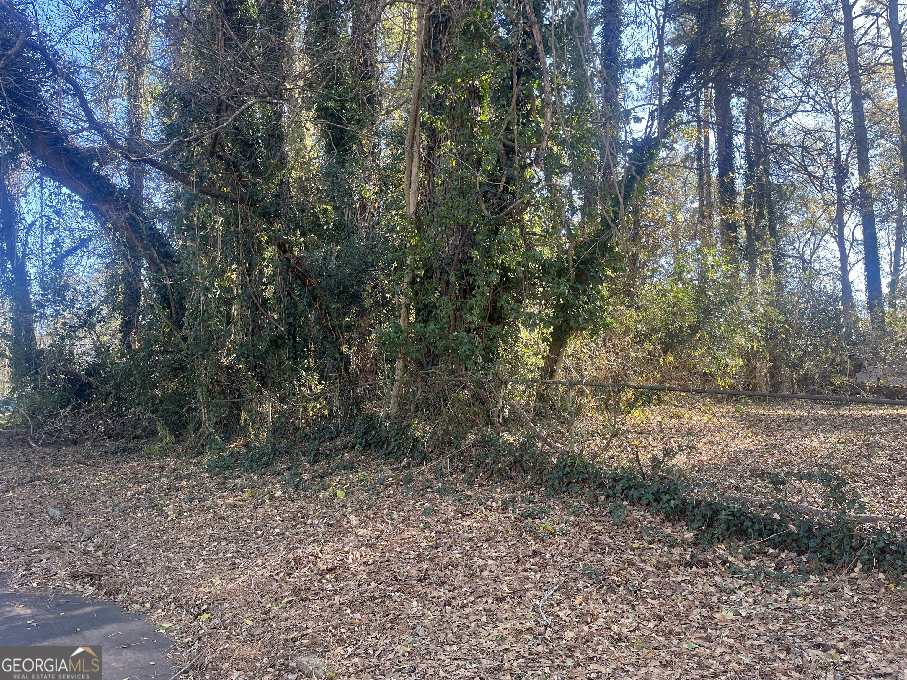 0 Handley Avenue South Atlanta, GA 30310 - Photo 7 of 8 a view of a forest with trees in the background