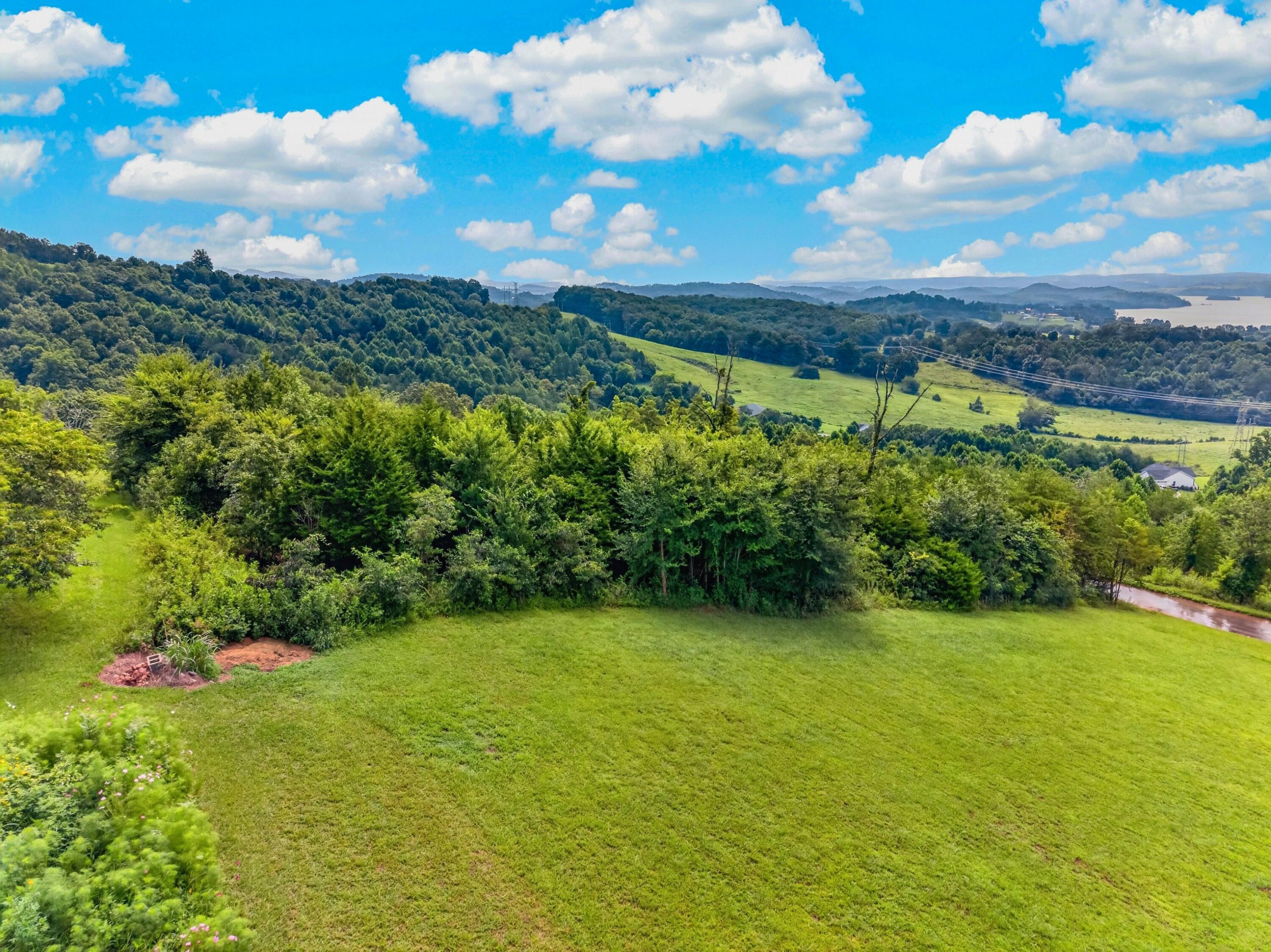 34 Logans Bluff, Unit 34 Bean Station, TN 37708 - Photo 9 of 13 009-LogansBluff-Lot34-BeanStation-TN-377