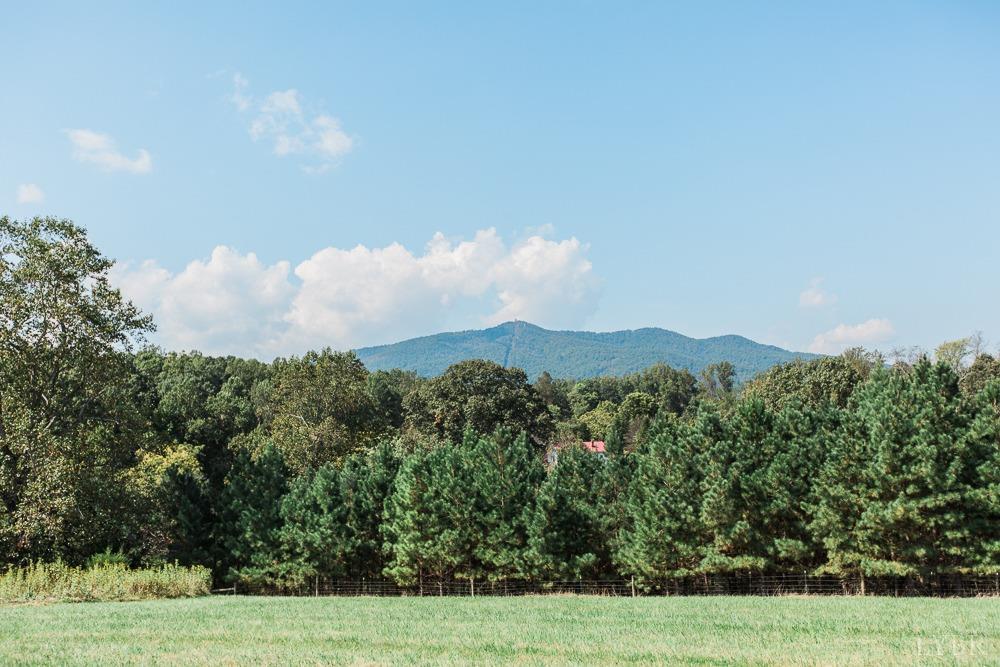 295 Burford Farm Road Monroe, VA 24574 - Photo 38 of 46 Gallery Image 38