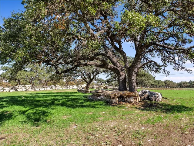 a view of backyard with green space