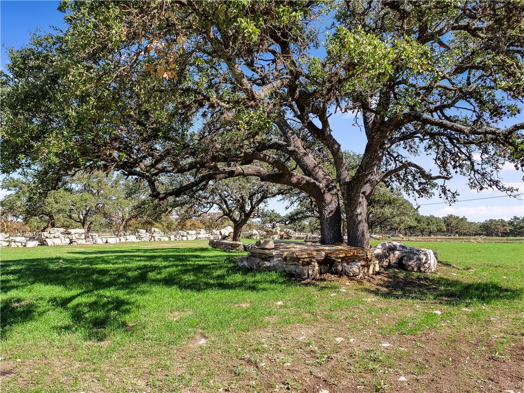 788 Clarence Jacoby Road Fredericksburg, TX 78624 - Photo 10 of 14 a view of backyard with green space