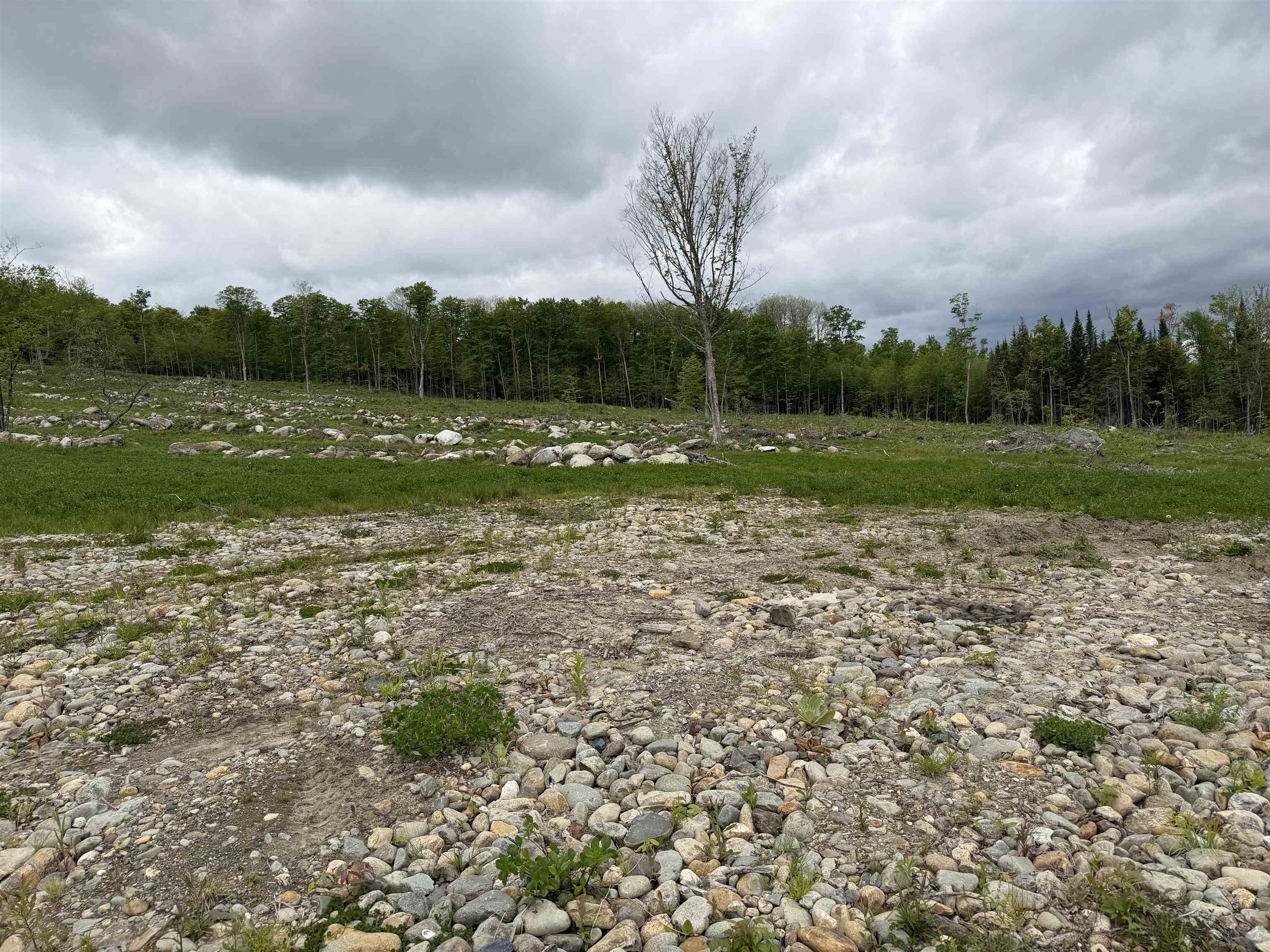 842 Gibbs Road, Unit LOT #3 Newport Town, VT 05857 - Photo 3 of 6