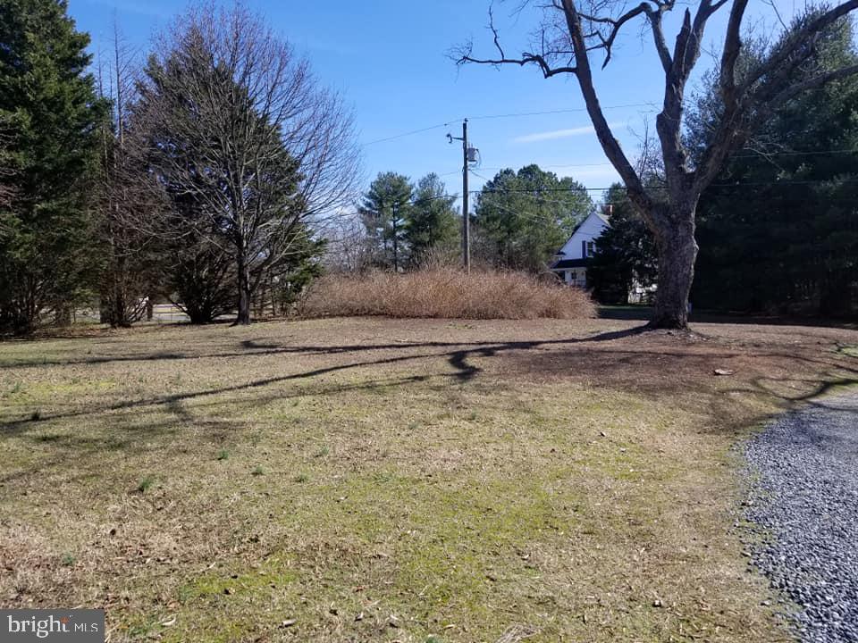 25644 Garey Road Denton, MD 21629 - Photo 20 of 26 Front Yard