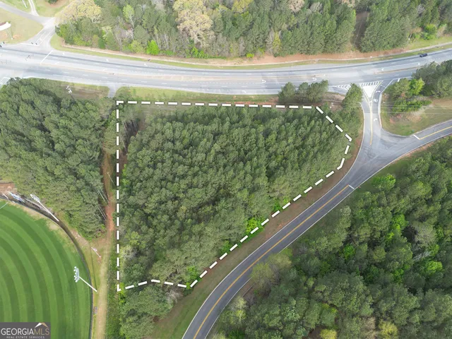 a view of a garden from a window