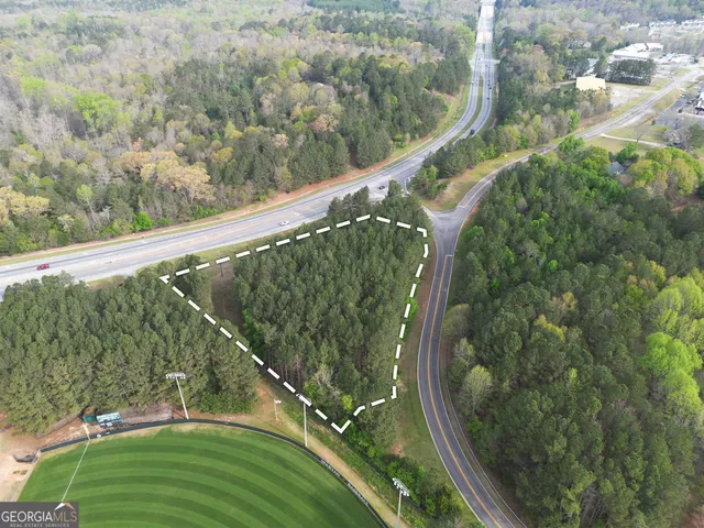 a view of a green space with large trees