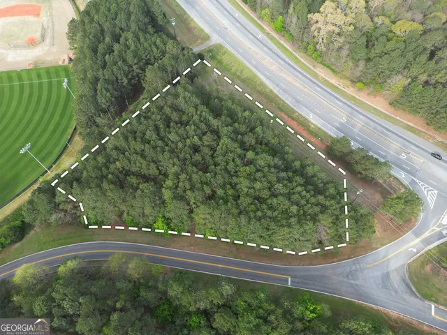 a view of a yard from a window