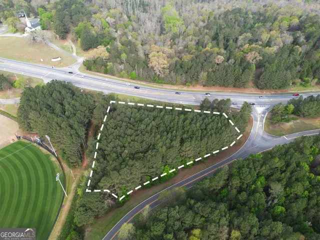 a view of a yard with plants