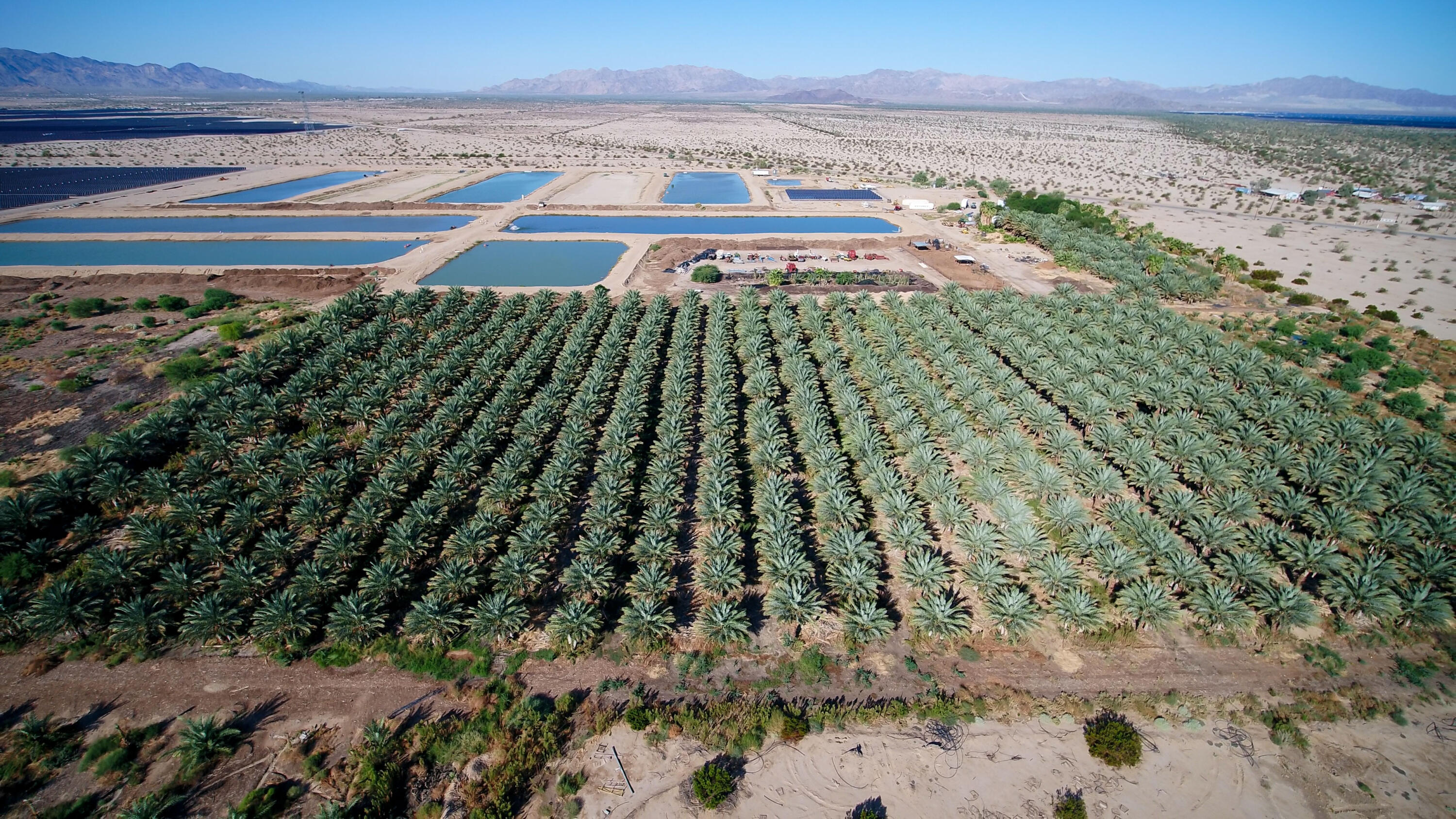 Fish Pond-AerialPhotos-10