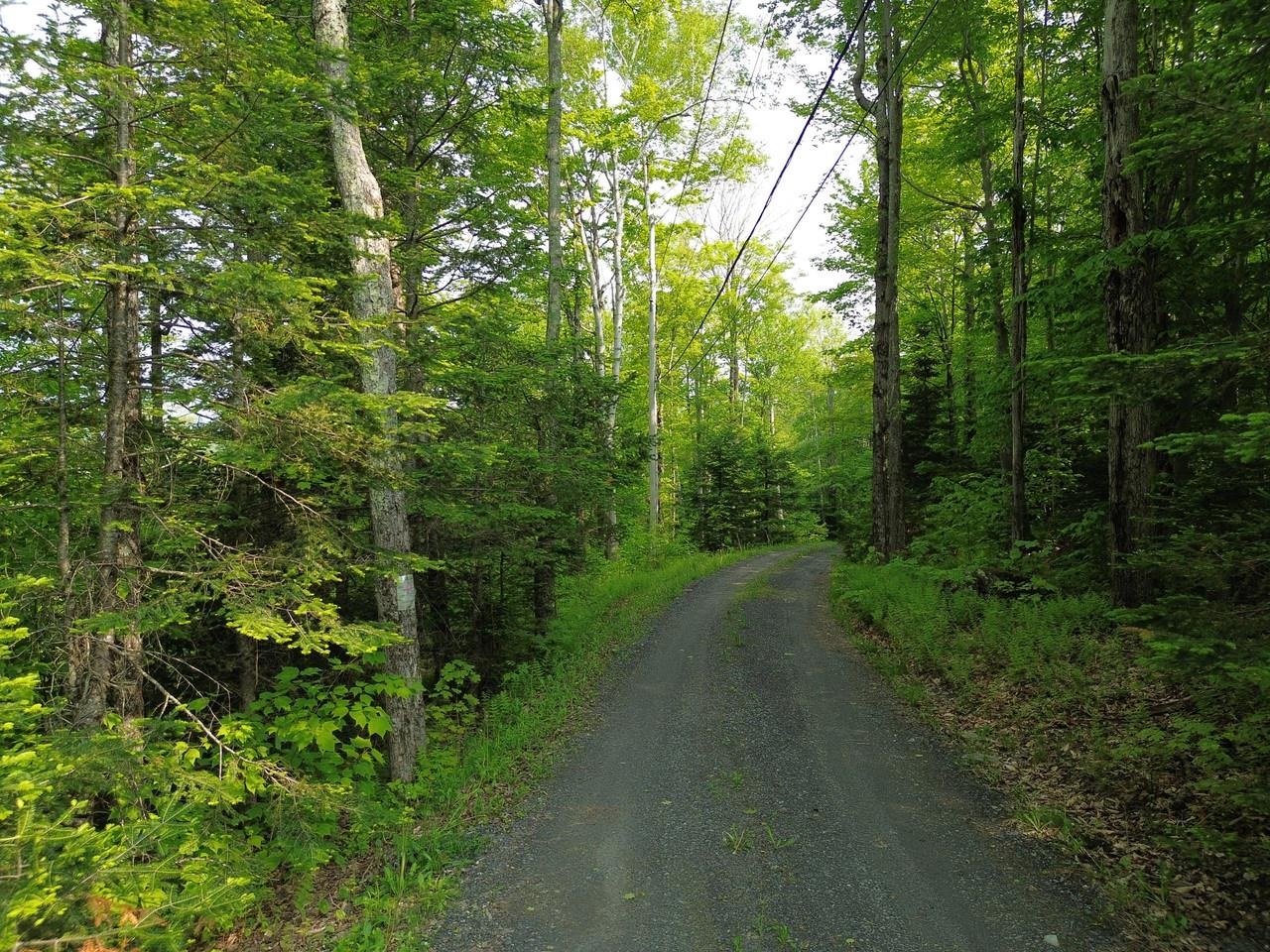 48 Alberts Lane Warren, VT 05674 - Photo 7 of 16