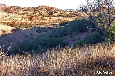 Lot D Lot D Stevens Ranch Road Patagonia, AZ 85624 - Photo 9 of 26