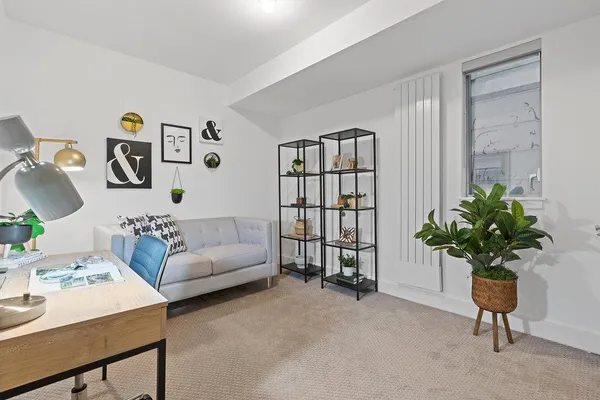 a living room with furniture flowerpot and a rug
