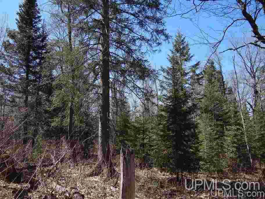 Tbd Celotex Road Michigamme, MI 49946 - Photo 14 of 25