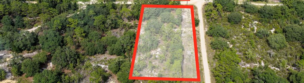 0 Northeast 90th Street Bronson, FL 32621 - Photo 1 of 8