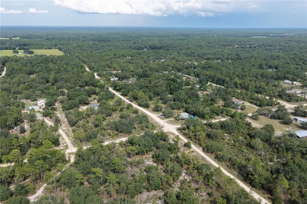 0 Northeast 90th Street Bronson, FL 32621 - Photo 4 of 8