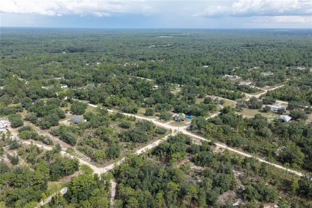 0 Northeast 90th Street Bronson, FL 32621 - Photo 5 of 8