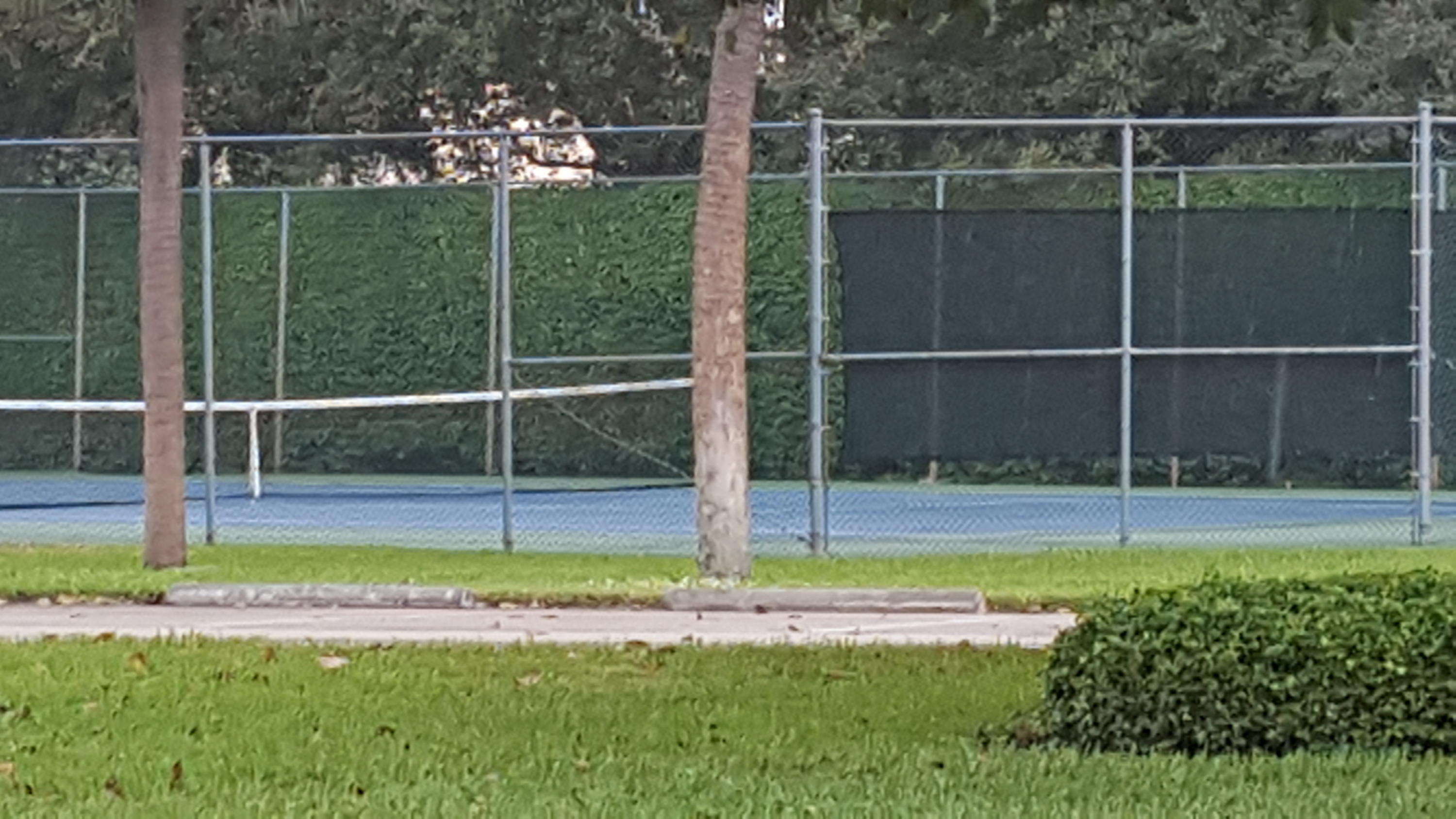 321 Norwood Terrace, Unit N224 Boca Raton, FL 33431 - Photo 13 of 25 n224.6