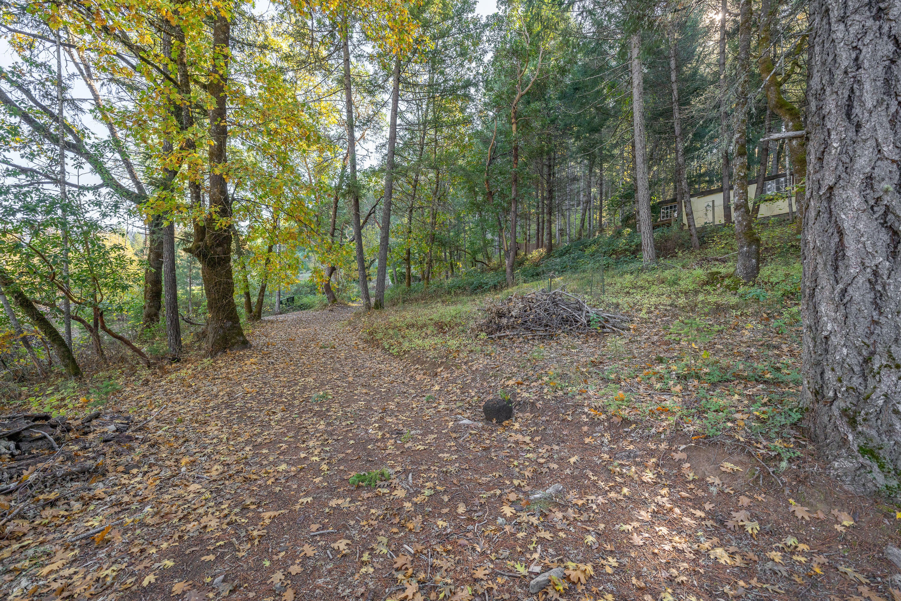 617 Glendon Road Cave Junction, OR 97523 - Photo 21 of 33 Facing Glendon Rd