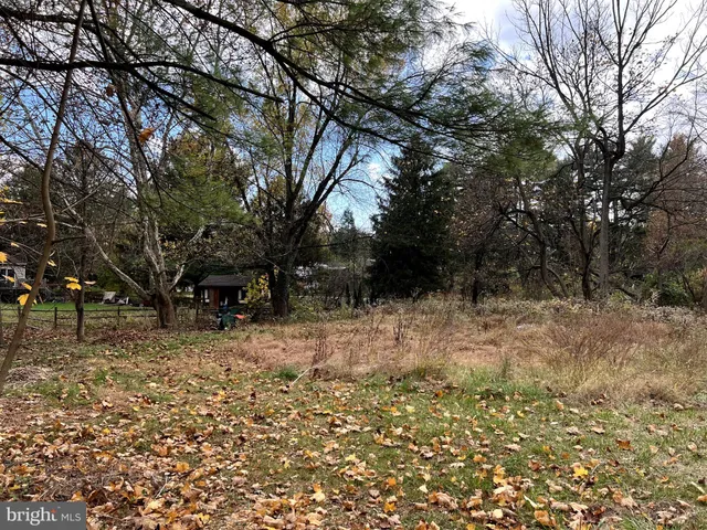 a view of a yard with trees