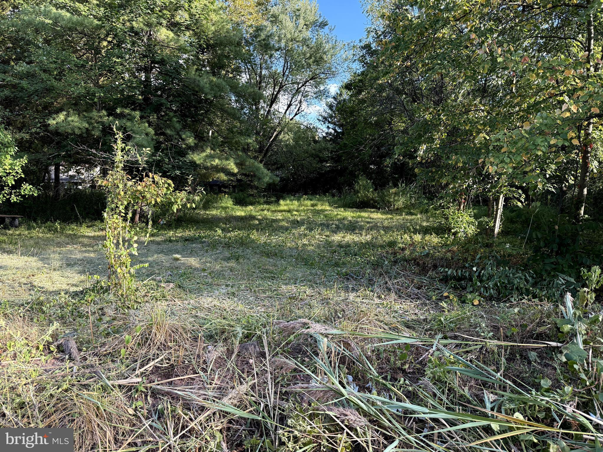 446 Neiman Road Pottstown, PA 19465 - Photo 7 of 9 a backyard of a house with lots of green space