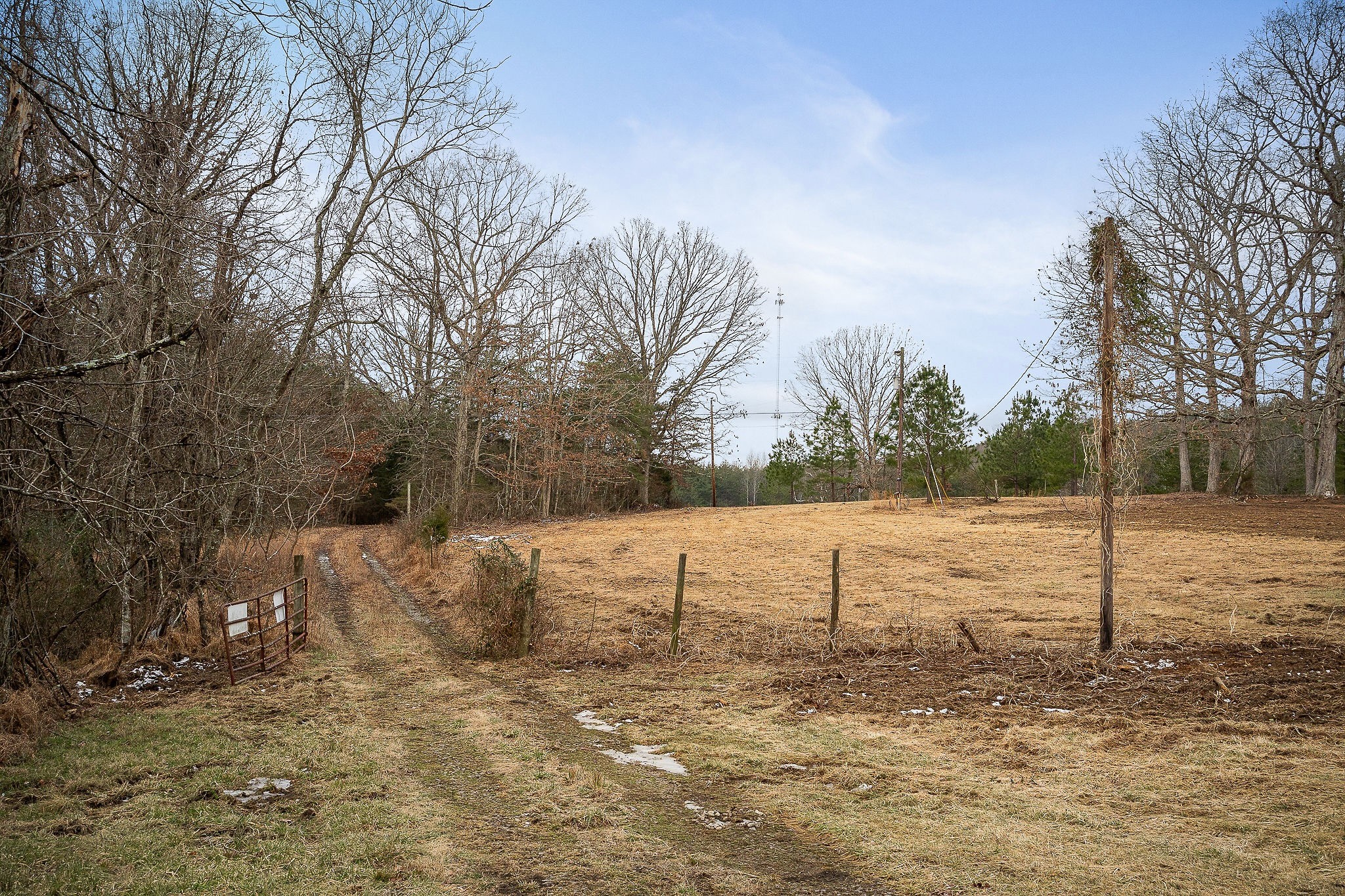 214 Edmonds Road Spencer, TN 38585 - Photo 14 of 39 a view of outdoor space yard and green space