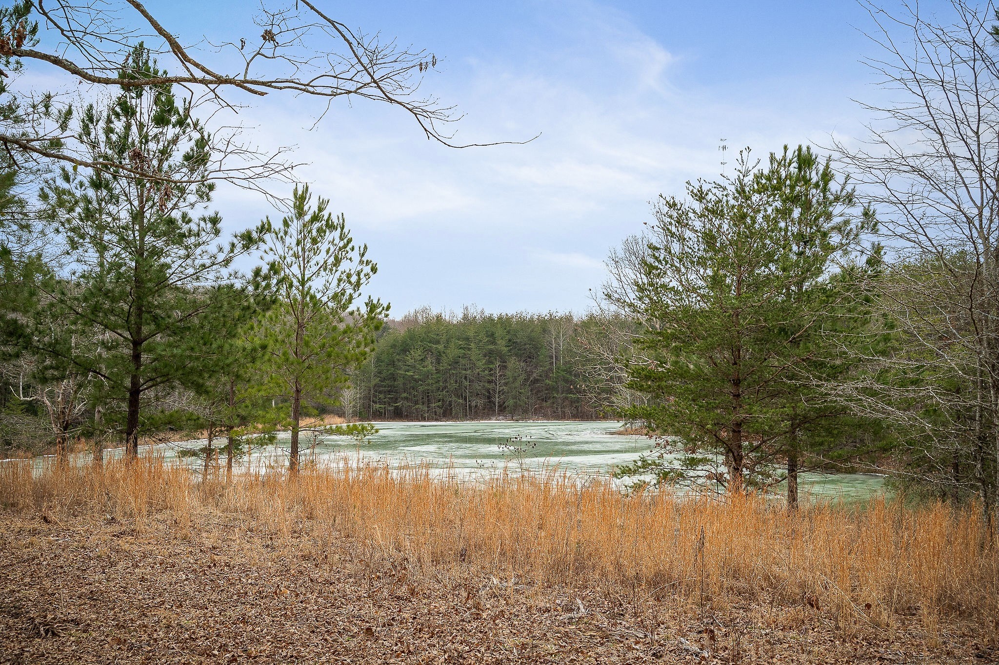 214 Edmonds Road Spencer, TN 38585 - Photo 16 of 39 a view of a lake view