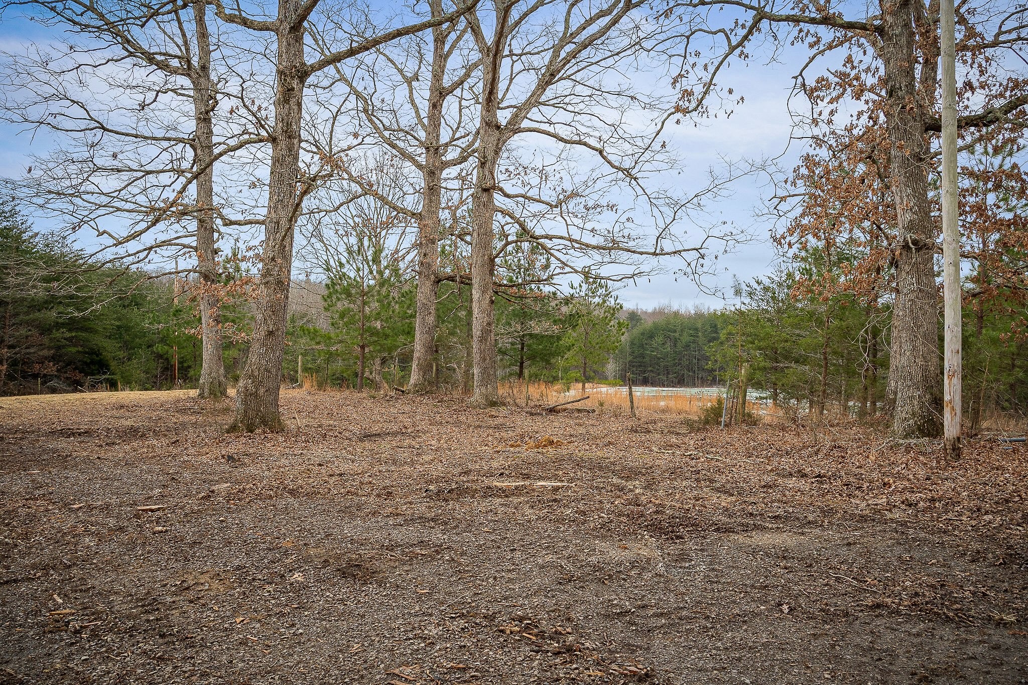 214 Edmonds Road Spencer, TN 38585 - Photo 20 of 39 a fire hydrant in the middle of a field