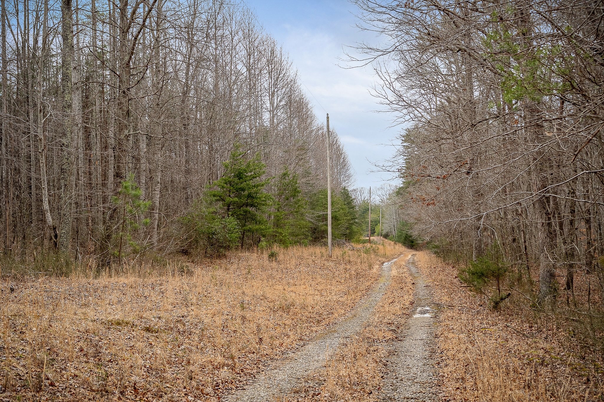 214 Edmonds Road Spencer, TN 38585 - Photo 26 of 39 a view of an outdoor space and trees