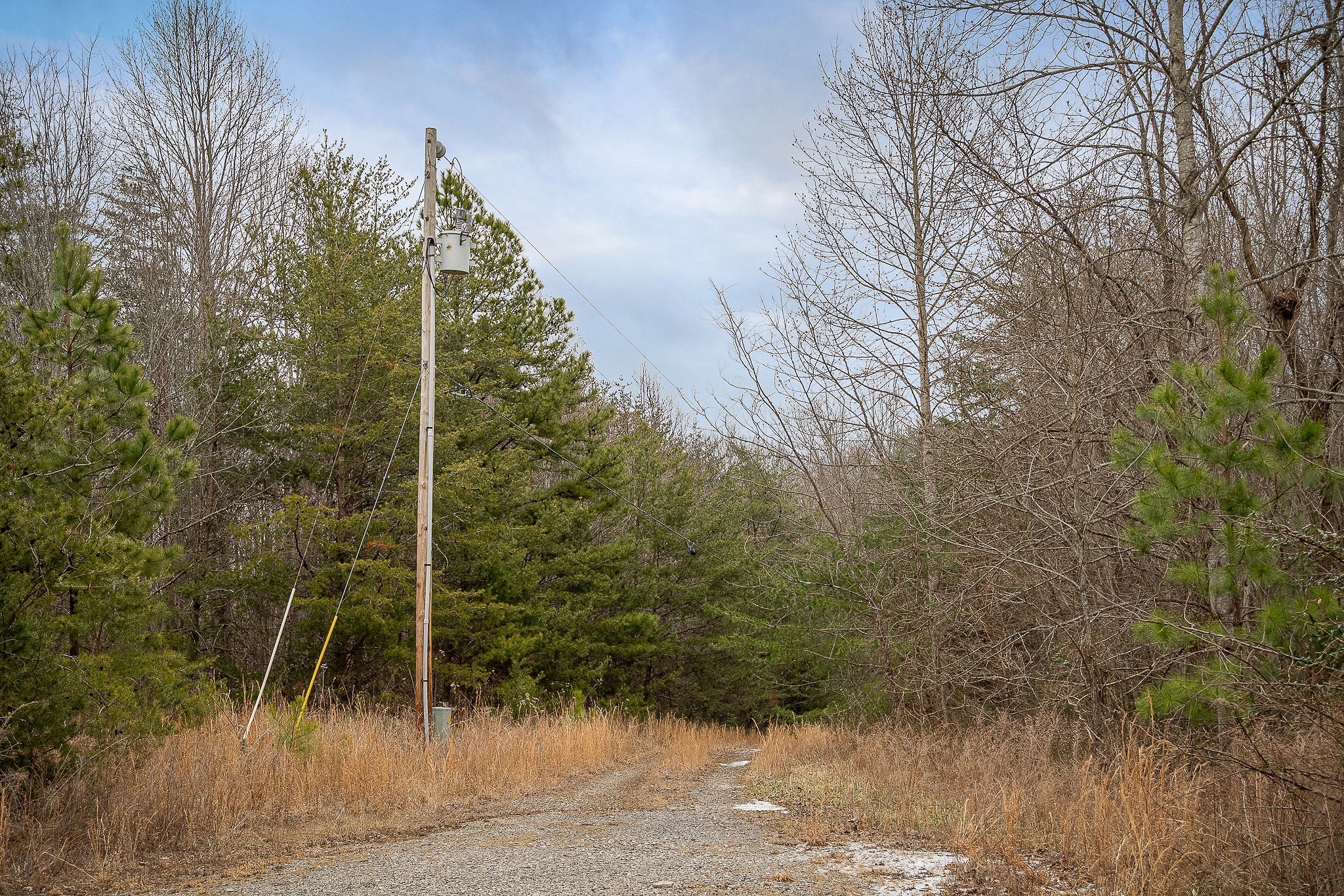 214 Edmonds Road Spencer, TN 38585 - Photo 3 of 39 a view of a yard