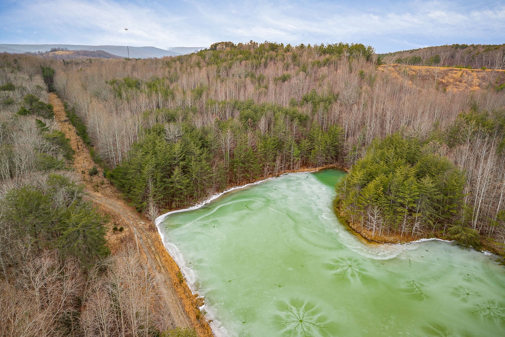 214 Edmonds Road Spencer, TN 38585 - Photo 35 of 39 a view of a dry yard